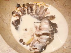 -云海肴云南菜·蒸汽石锅鱼(青岛万象城店)