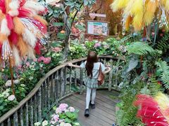 -正佳雨林生态植物园