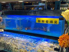 -苏格里岛自助海鲜烤肉(青秀万达店)