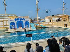 -秦皇岛乐岛海洋王国