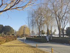-北龙湖湿地公园