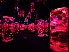 -成都浩海立方海洋公园