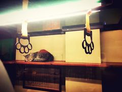 -猫咪博物馆(顶澳仔猫街店)