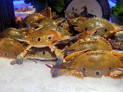 -加餐海鲜自助(宝龙一城店)