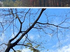 -红山森林动物园