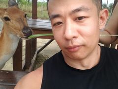 -鹿境梅花鹿生态园区