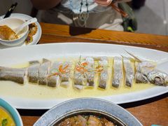 清蒸鲜白鱼-锡和无锡菜(景丽苑店)