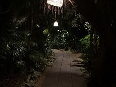 -卷心菜和避孕套餐厅(Pattaya)