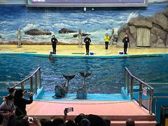 -福州罗源湾海洋世界旅游区