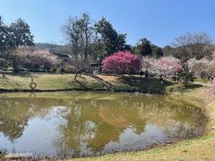 -杭州植物园