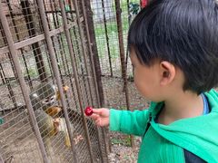 -北戴河集发农业梦想王国