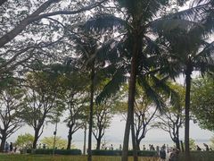 -深圳湾公园(南山区)