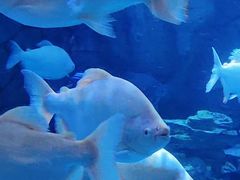 -多彩贵州城极地海洋世界