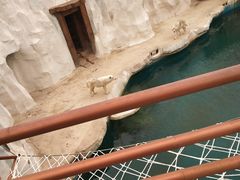 -秦皇岛乐岛海洋王国