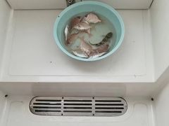 -五缘湾游艇帆船俱乐部