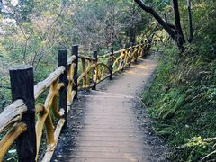 -阳台山自然风景区