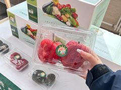 -长春农博园