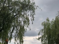 -长春市南湖公园