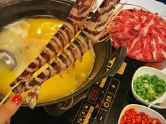 -鲜入围煮花胶鸡海鲜火锅