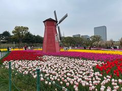 -大宁公园