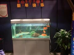 -梵SPA·影院足道·采耳(西藏北路店)