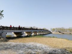 -西青郊野公园