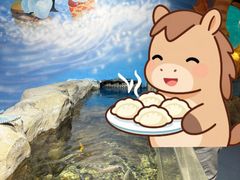 -合肥海洋世界