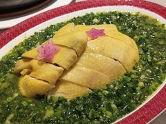 -圆苑(静安寺店)