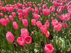 -金源温泉休闲会馆