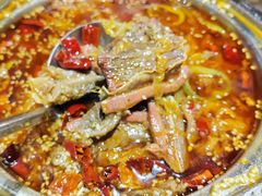 -闫家驴肉老店(华电一校店)