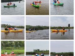 -春花秋色城市公园