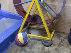 -太平洋海底世界