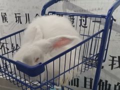 -成都失恋馆