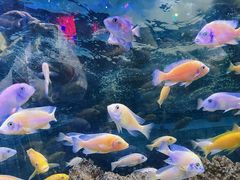 -沙沙哗啦海洋馆(华宇百花谷店)