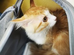 -美联众合动物医院·24h京西诊疗中心