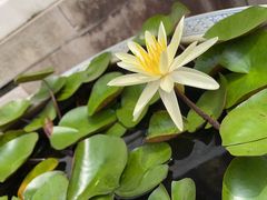 -普陀山慧济禅寺