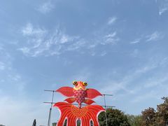 -白马涧龙池景区