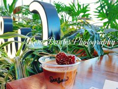 -Seesaw Coffee(朝阳大悦城店)