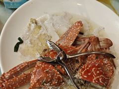 -阳江餐厅·26年老字号·粤菜海鲜大排档