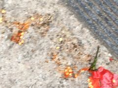 -东北人粗粮饺子坊(南山店)