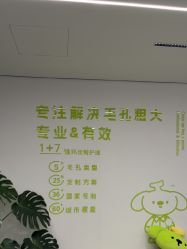 -凡碧诗毛孔清洁收细