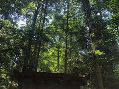 -凤栖山