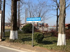 -黄海国家森林公园