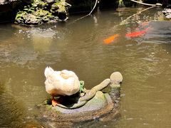 -北园酒家(小北路店)