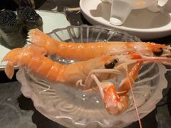 -半岛翡丽海鲜自助餐厅(观风亭店)