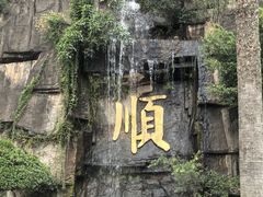 -三水森林公园