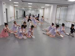 -西安小天鹅艺术团(金花路校区)