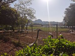 -星湖旅游景区七星岩