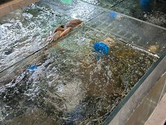 -老海陵·泰州菜(图书馆店)