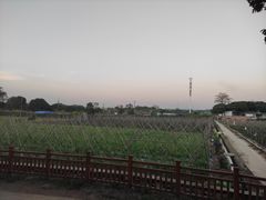 -米岗农庄